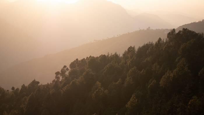 free-photo-of-sunset-sunlight-over-deep-forest